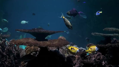 Glow-in-the-Dark Waterproof Phone Pouch for Swimming and Diving - Universal Sealed Dry Bag for Mobile Phones